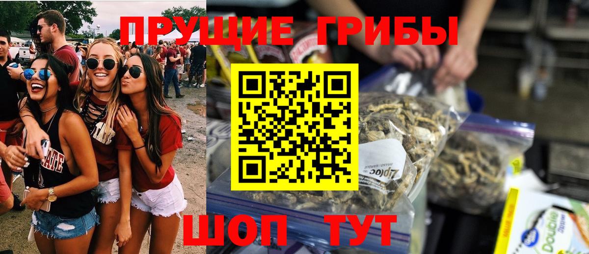 Кувандык  Псилоцибиновые грибы Cubensis  где продают наркотики  Вход с VPN  Галлюциногенные грибы Psilocybe 